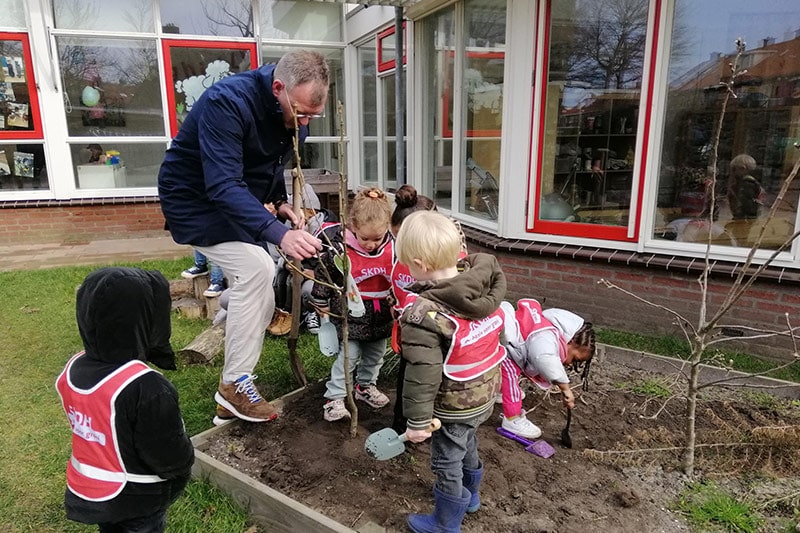 Wethouder Pieter Kos plant fruitboompjes bij kinderdagverblijf Bruintje Beer